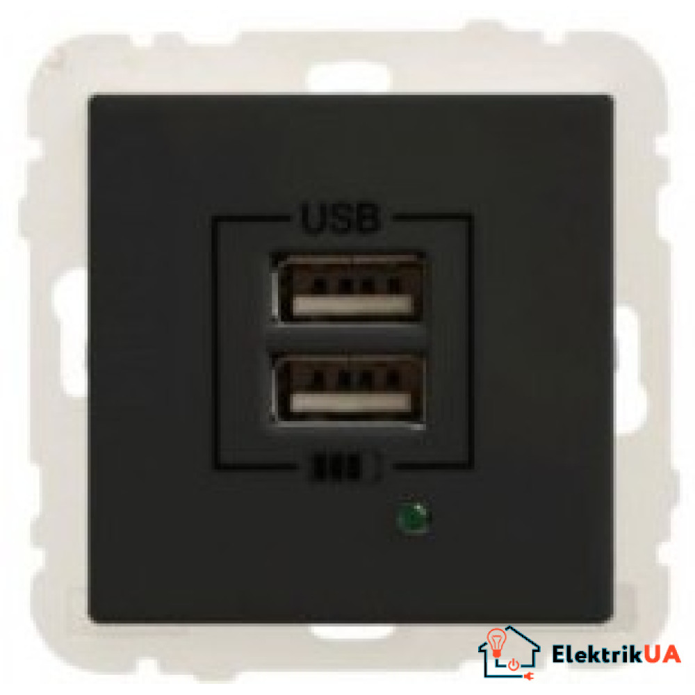 Розетка USB двойная Efapel Logus Черный матовый 21384 TPM